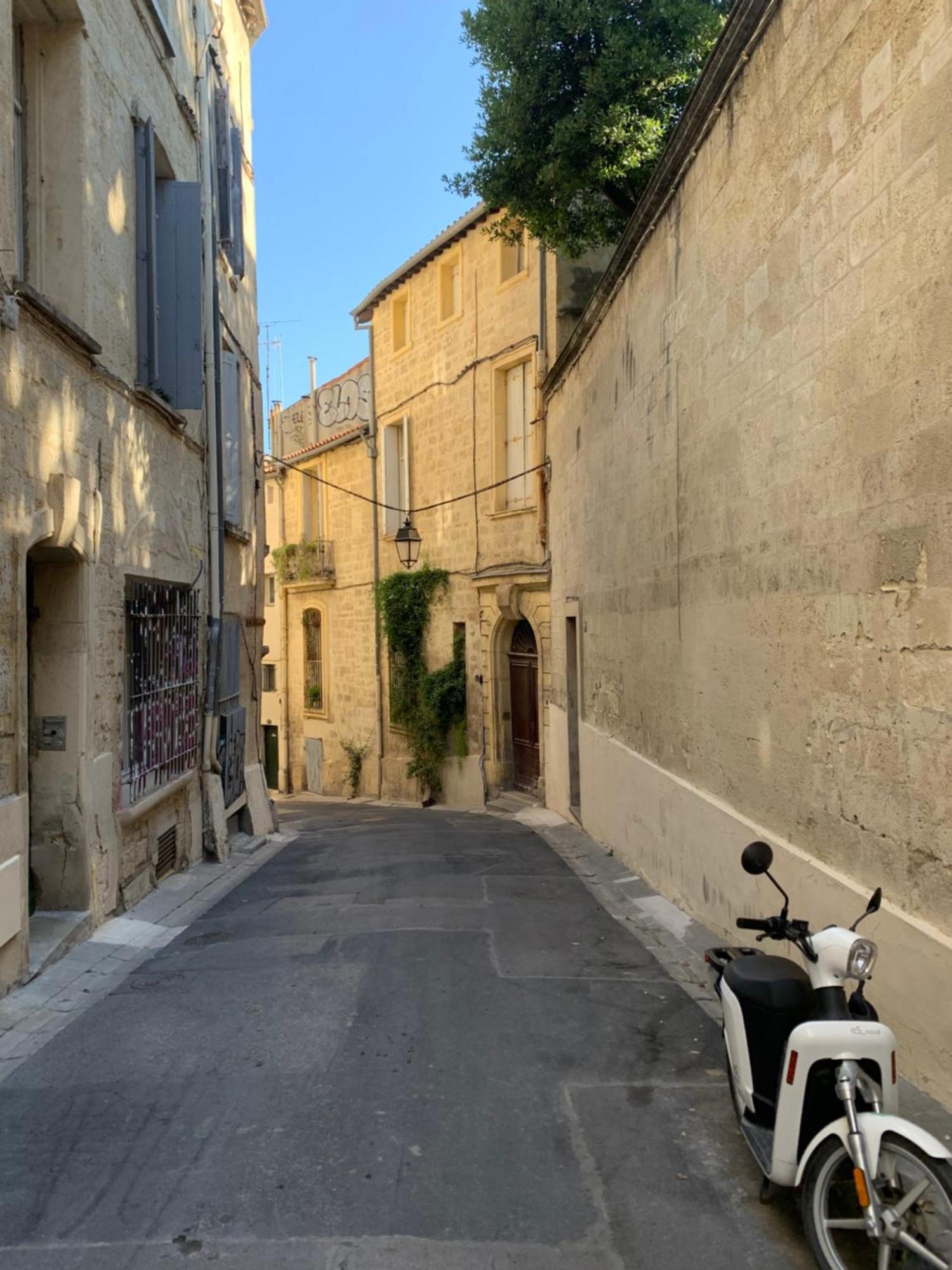 Pic Saint View Grand Corum Montpellier Dış mekan fotoğraf